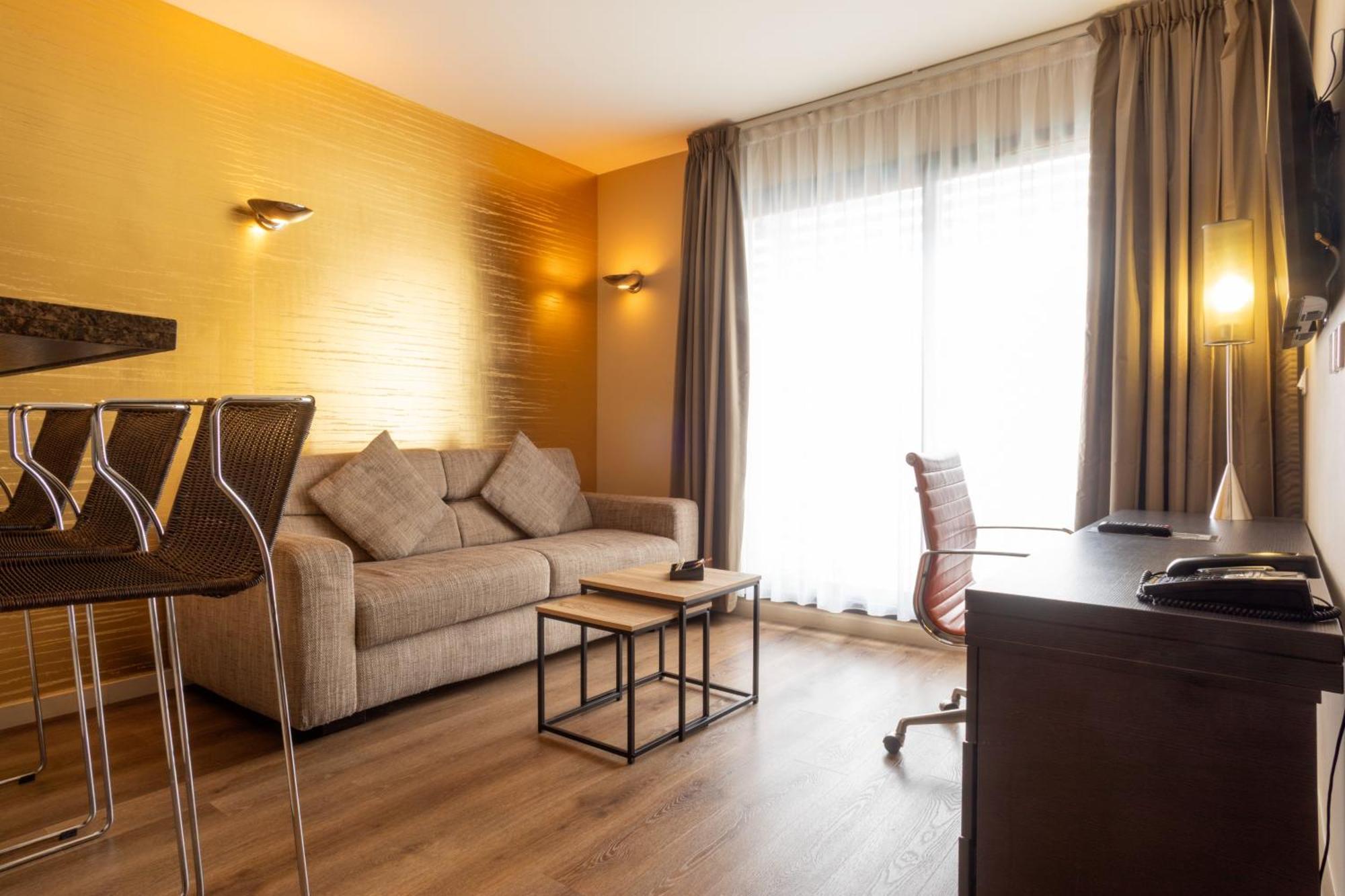 One-Bedroom Living Room a Sofa Bed Apartment